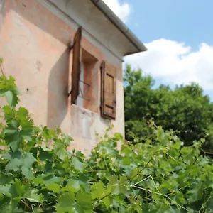 Vigna Italy